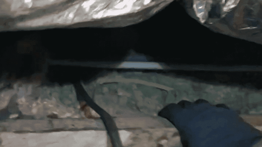 Termite Damage in Attic